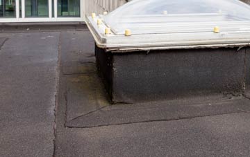disadvantages of Littlefield Common flat roofs